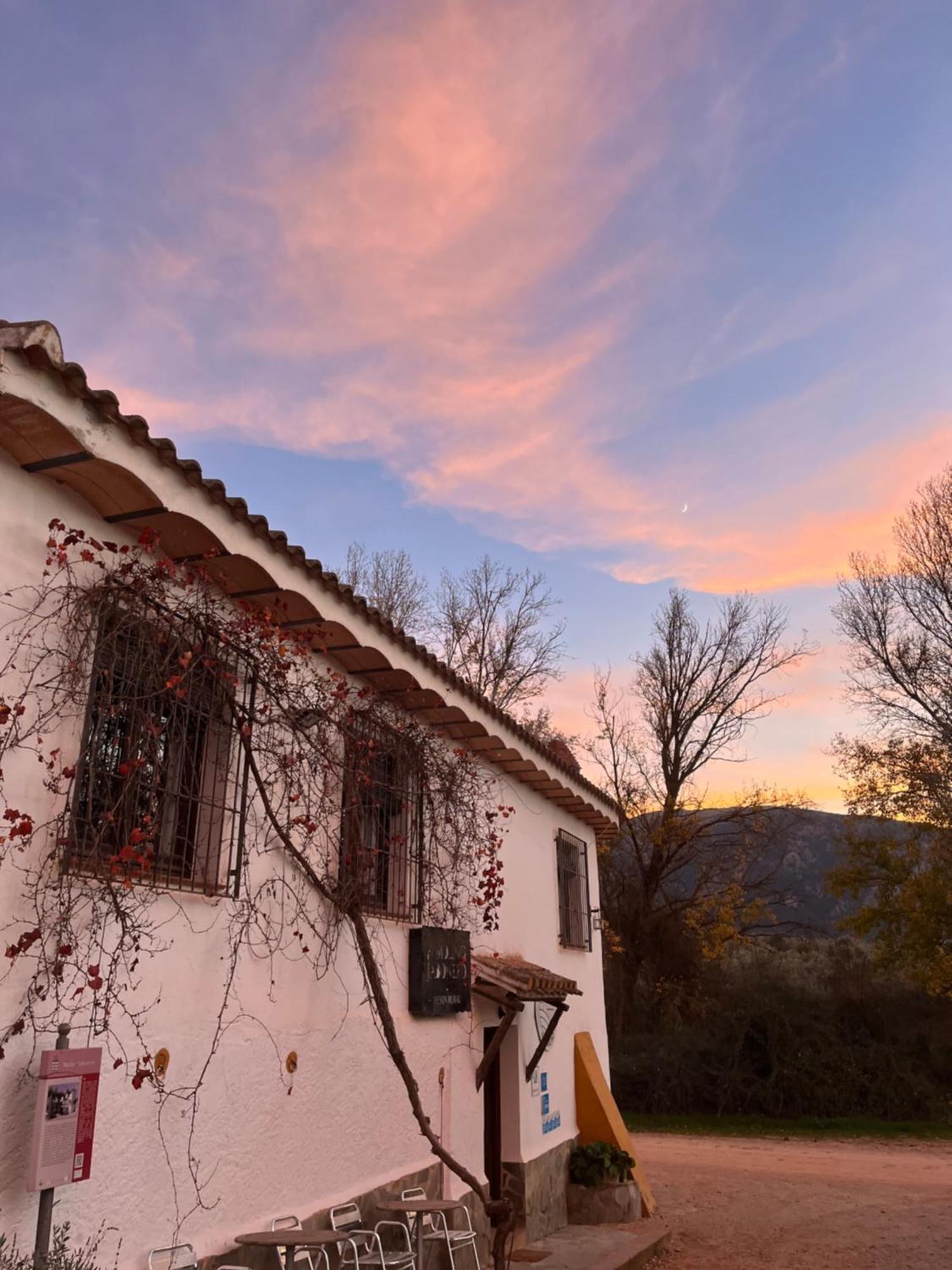 El Patio Del Molino - Hostal Rural 特拉武科新镇 外观 照片