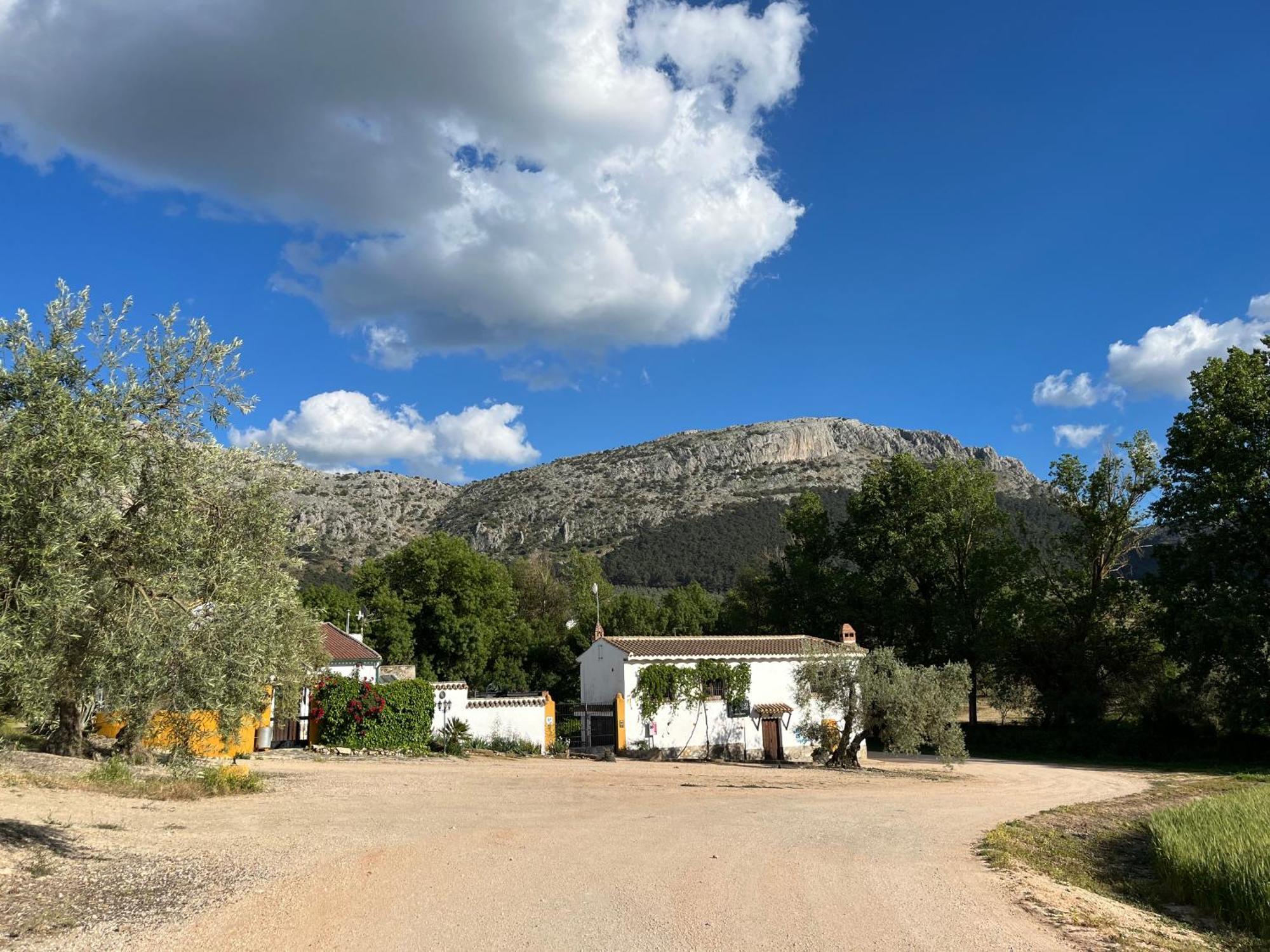 El Patio Del Molino - Hostal Rural 特拉武科新镇 外观 照片